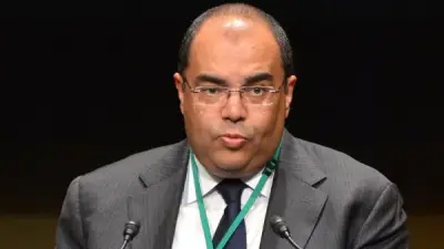 محيي الدين: توطين التنمية والاستثمار مفتاح مواجهة التحديات العالمية