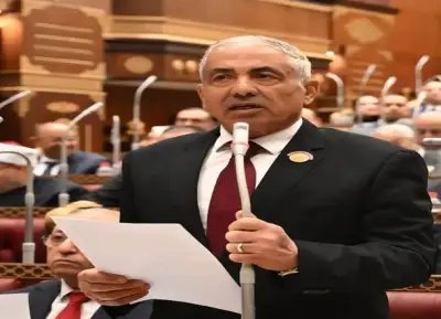 وكيل مجلس الشيوخ: تعديل قانون التأمينات الاجتماعية يرضي كل أصحاب المعاشات