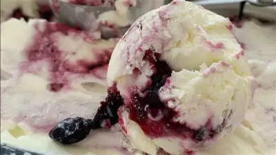 طريقة عمل آيس كريم الزبادي بالتوت بمذاق لا يقاوم