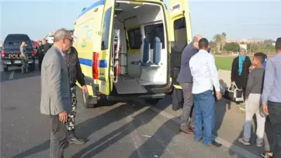 إنقاذ طفل سقط من شجرة وانتشال غريق في الدقهلية