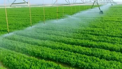 برلمانية: مشروعات الري العملاقة تقود مصر نحو الاكتفاء الغذائي