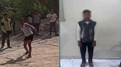 تفاصيل فيديو رشق قطار بالحجارة في مصر وإصابة سائق