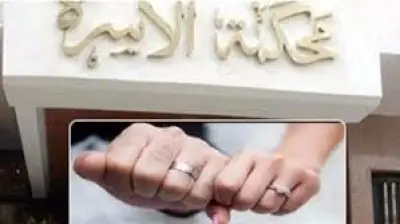 رئيس محكمة الأسرة السابق: الدولة منشغلة بملف الطلاق ونريد طفلاً سويًا