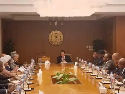 جلسة إحاطة لسفراء الدول الإفريقية حول جهود مصر لخفض التصعيد بالمنطقة