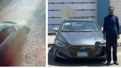 الداخلية تكشف تفاصيل فيديو اصطدام سيارة بكلب ضال في الإسماعيلية