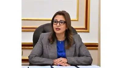 تعيين غادة عبد الباري أمينًا لمجلس شؤون فروع الجامعات الأجنبية