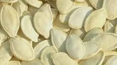 كنز مهمل في مطبخك.. ماذا يحدث لجسمك عند تناول لب الكوسة يوميًا؟