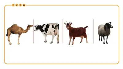 تعرف على حظك اليوم في الأبراج وتوقعات علماء الفلك لجميع الأبراج