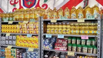 استقرار أسعار السلع الأساسية في أسواق الوادي الجديد اليوم
