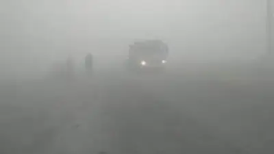 تحذير عاجل من الأرصاد: شبورة كثيفة تؤثر على الرؤية بالطرق السريعة صباح الثلاثاء