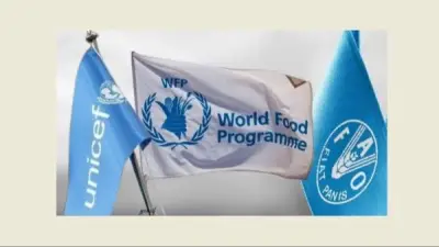 الفاو تطلق برامج خاصة لتعزيز التعاون الزراعي الإقليمي في ظل التحديات الراهنة