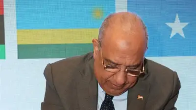 مصر مقر دائم لمشغل سوق كهرباء شرق أفريقيا