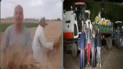 الداخلية تكشف تفاصيل سرقة محصول القمح في الشرقية بسبب خلافات الجوار