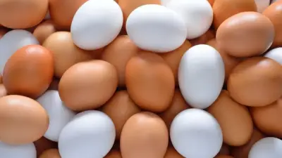 استشاري تغذية: البيض مصدر بروتين كامل ولا يمكن الاستغناء عن الخضروات
