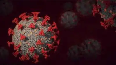 هل تحميك نزلات البرد من السرطان؟ دراسة تكشف علاقة غير متوقعة