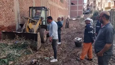 رفع تراكمات الحشائش من أرض مهجورة في السنطة بالغربية استجابة لشكاوى الأهالي