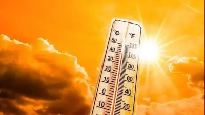 الطقس غداً: حار نهاراً وبارد ليلاً مع شبورة مائية كثيفة