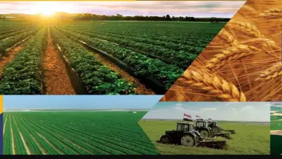 مشروع مستقبل مصر للزراعة المستدامة.. شريان حياة جديد للاقتصاد المصري