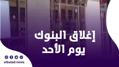 البنك المركزي المصري يوضح حقيقة إغلاق البنوك يوم الأحد مع تطبيق العمل عن بُعد