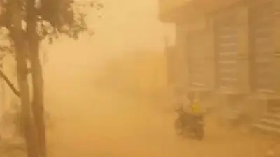 عواصف ترابية قوية تضرب الفرافرة بالوادي الجديد وتؤثر على الرؤية والطرق