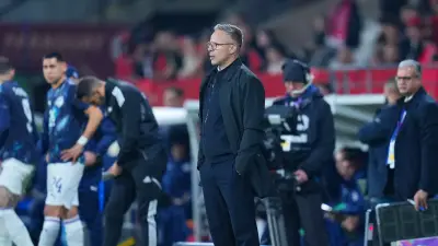 مدرب المغرب: لا أحد يشبه البرازيل.. ونحن نركز على الاستعداد للمونديال