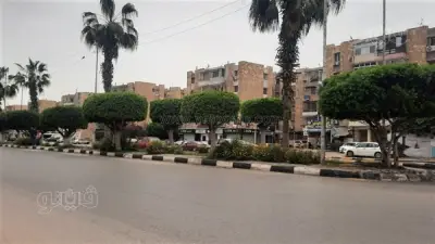 موجة طقس سيئ تضرب الإسماعيلية: سحب رعدية وأمطار ورياح مثيرة للأتربة