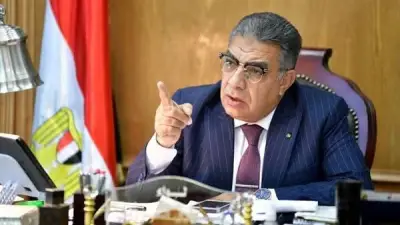 محافظ الدقهلية يصدر حركة تدوير لرؤساء المراكز والمدن والأحياء لتعزيز الأداء