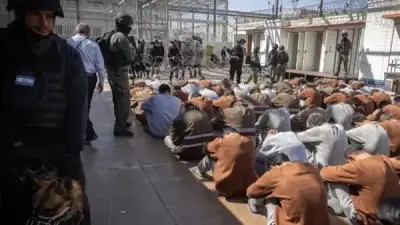 هيئة كبار العلماء بالأزهر: قانون إعدام الأسرى الفلسطينيين ترسيخ للوحشية والإجرام