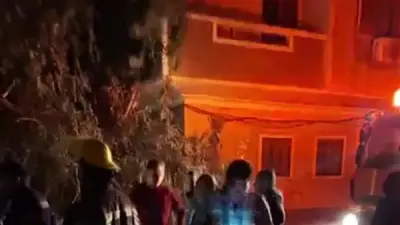 رياح عاتية تسقط شجرة ضخمة على منزل في المنيا وتدخل عاجل للحماية المدنية