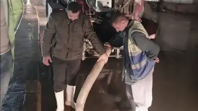 من قلب غرفة السيطرة: كيف تُدار أزمة أمطار الجيزة لحظة بلحظة؟