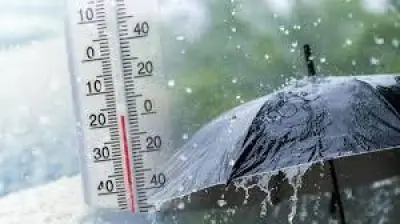 دليلك لتعزيز مناعتك في موسم الأمطار والأتربة: نصائح صحية فعالة