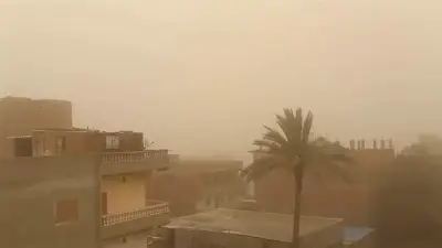 رياح محملة بالأتربة تضرب محافظة الدقهلية وسط تقلبات جوية غير مستقرة