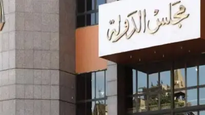 الإدارية العليا تقضي بندب موظفة من جامعة سوهاج إلى أسوان لظروفها الأسرية