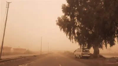 عاصفة ترابية تضرب الإسماعيلية وتتسبب في تعطيل الدراسة وإعلان الطوارئ