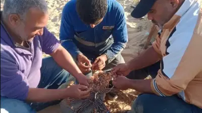 تعطل الخطوط الأرضية للخط الساخن بمياه المنيا بسبب عاصفة قوية وأمطار غزيرة