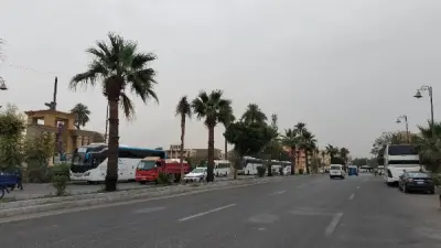 غيوم وضباب يخيمان على سماء الأقصر مع انخفاض ملحوظ في مستوى الرؤية