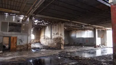 مديرة الطب البيطري المقالة بالإسكندرية تطالب بتحقيق شامل في أزمة مجزر الخديوي