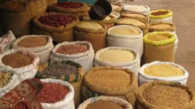 ارتفاع صاروخي في أسعار الصويا وانخفاض طفيف للذرة.. تفاصيل أسعار الأعلاف اليوم