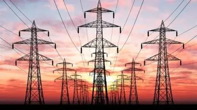 نصائح عاجلة من الكهرباء للمواطنين للتعامل مع حالات الصعق الكهربائي