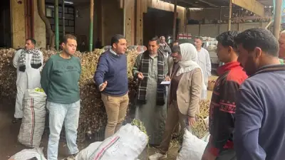 محافظة القليوبية تشن حملة مكبرة لضبط الأسواق ومراقبة أسعار الخضار في بنها