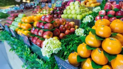 أسعار الفاكهة تشهد تباينًا كبيرًا في سوق العبور.. انخفاض البرتقال والجوافة وارتفاع الفراولة