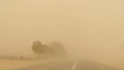 الأرصاد تحذر من شبورة مائية كثيفة ورياح مثيرة للأتربة مع استمرار فرص الأمطار