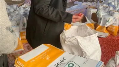 تموين وزراعة الشرقية يضبطان مصنعًا غير مرخص لإنتاج تقاوي الذرة المغشوشة