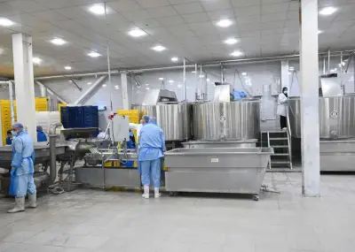 وزير الاستثمار: الصناعات الغذائية ركيزة أساسية في هيكل الاقتصاد القومي