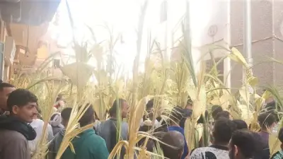 بالسعف والتيجان.. الآلاف يحتفلون بأحد الشعانين في كنائس المنيا