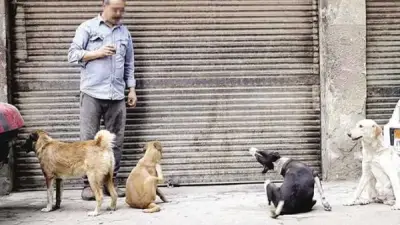 هل يجوز ترويع الناس حتى لو كان مزاحًا؟.. أستاذ بالأزهر يوضح الحكم الشرعي