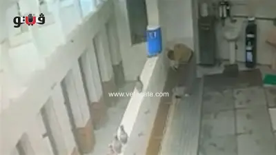 أمن الغربية يضبط لصاً سرق جميع حنفيات مسجد عبد ربة في المحلة الكبرى