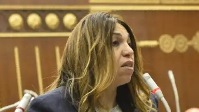 الشيوخ: توجيهات الرئيس السيسي حاسمة لترسيخ استقرار سوق الصرف وكبح المضاربات