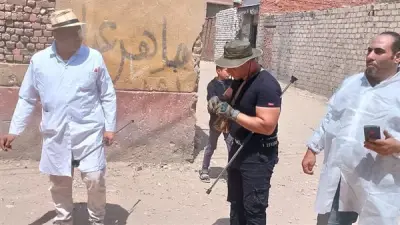 لجنة بيطرية بالجيزة تتحرك لتحصين الكلاب الضالة والبحث عن كلبة مسعورة في الصف