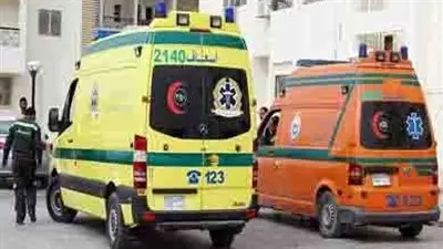 طالب يلقى بطوبة على زميله في مدرسة بالدقهلية.. وإصابات متفرقة